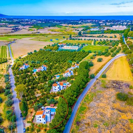 Villa Charoula Ena Polis Dış mekan fotoğraf